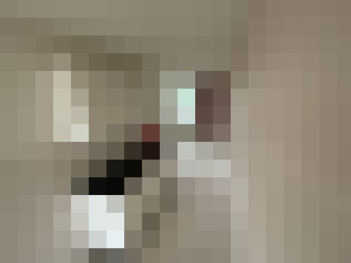  / #19