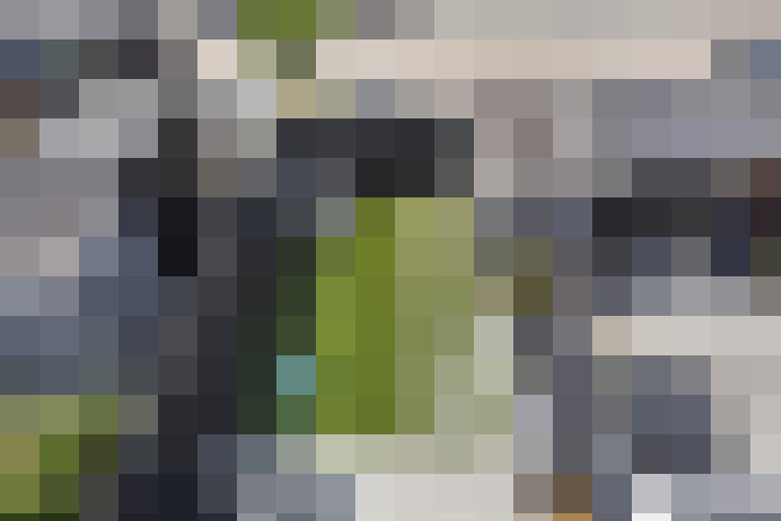  / #31