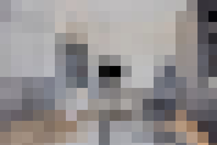  / #23