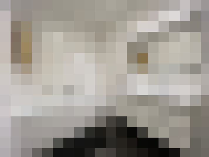  / #23