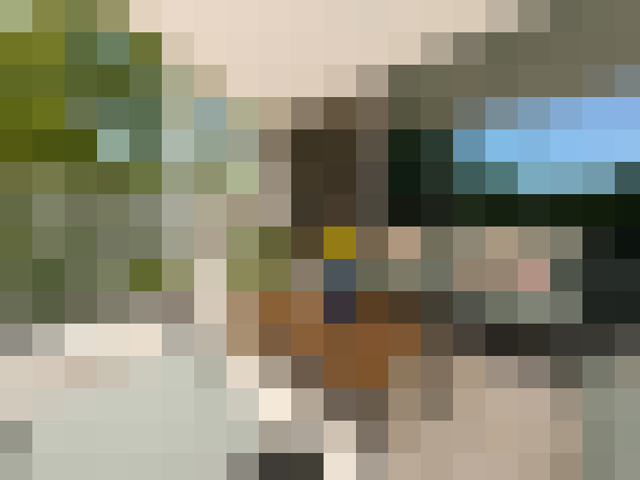  / #7