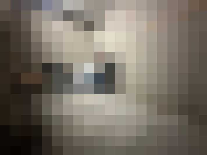  / #17