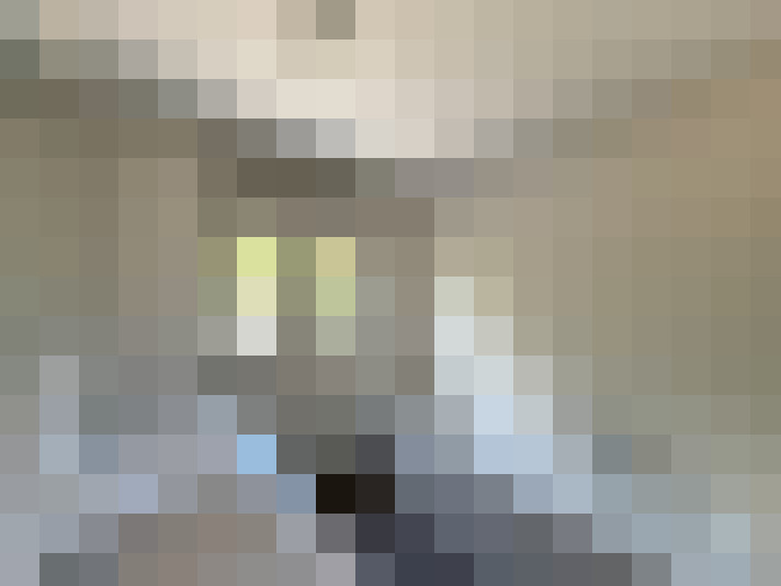 / #7