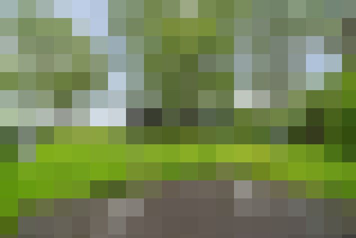  / #11
