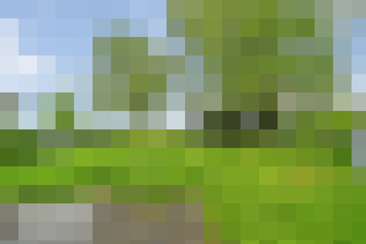  / #12