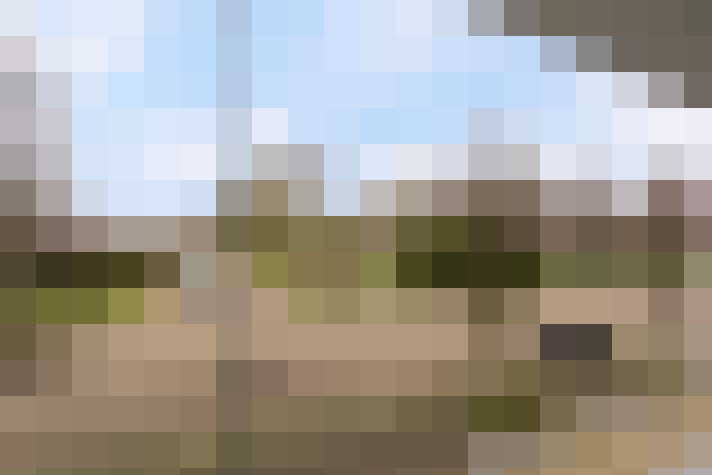  / #16