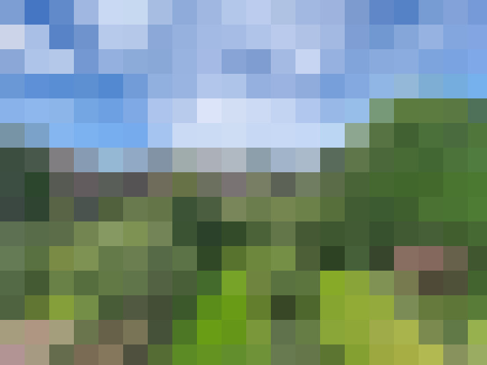  / #14