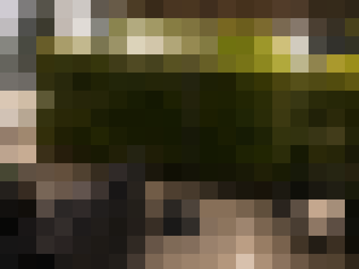  / #6