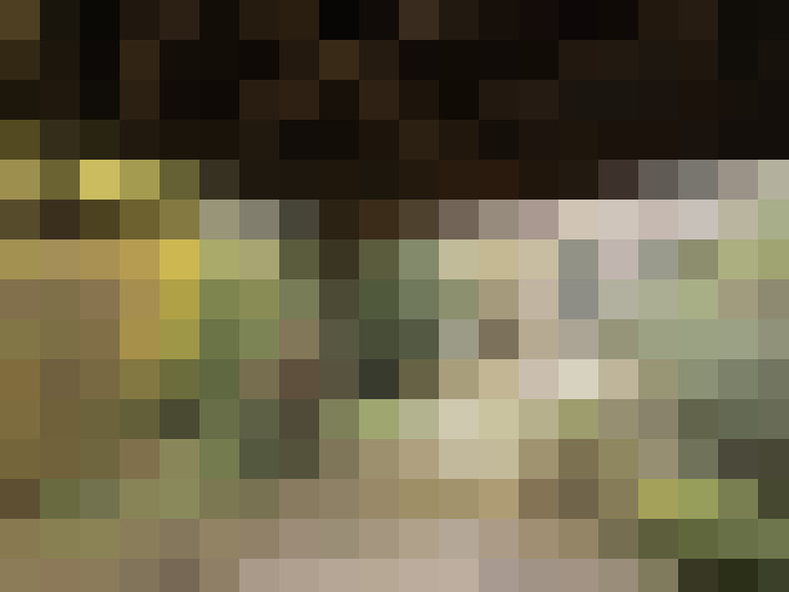  / #14