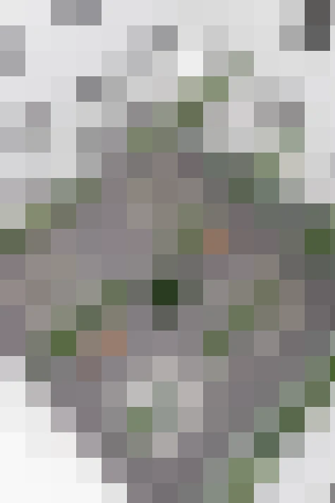  / #13