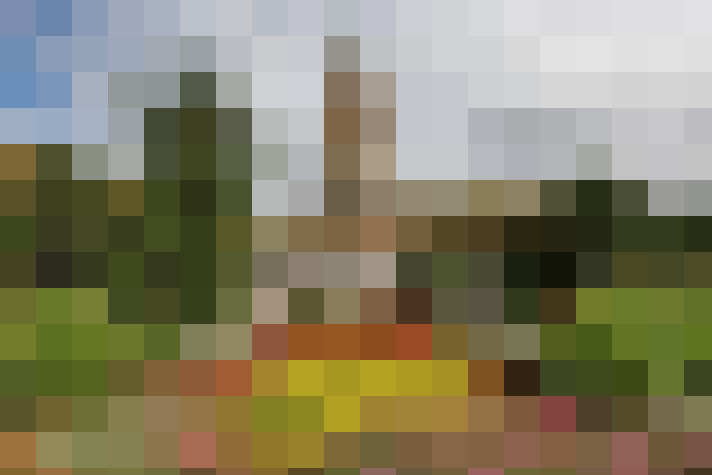  / #68