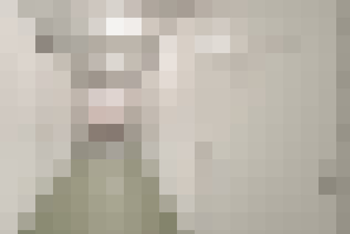  / #21