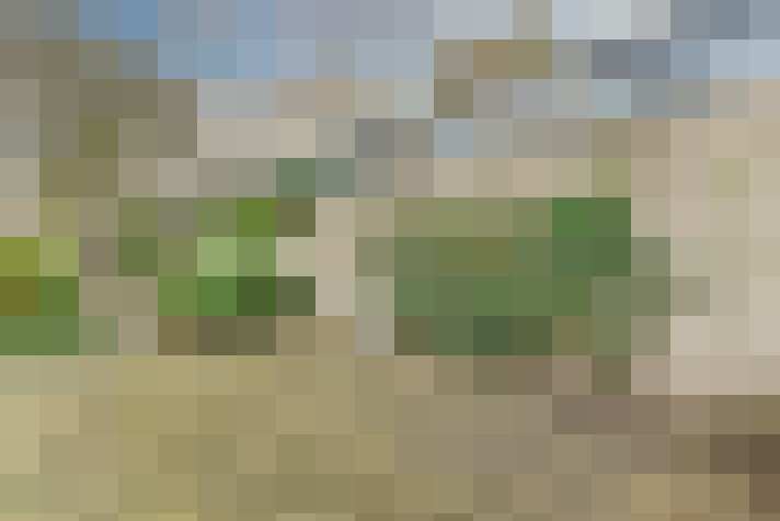 / #16