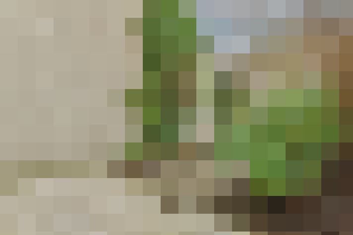  / #14