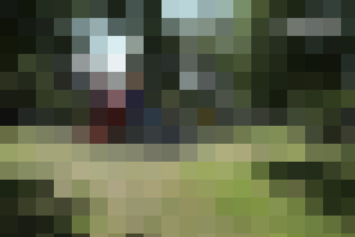  / #8