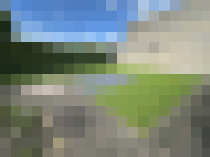  / #31