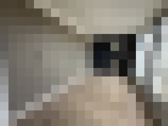  / #16