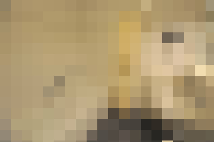  / #16