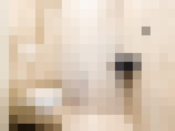  / #24