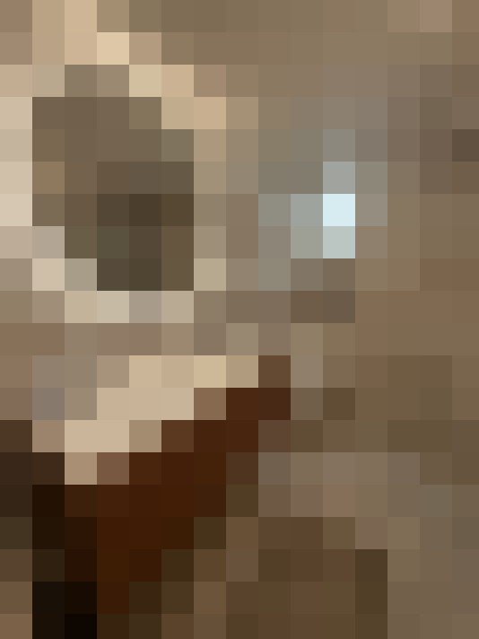  / #16