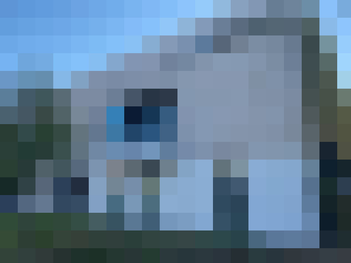  / #15