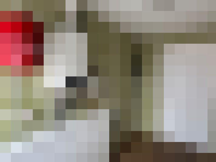  / #20
