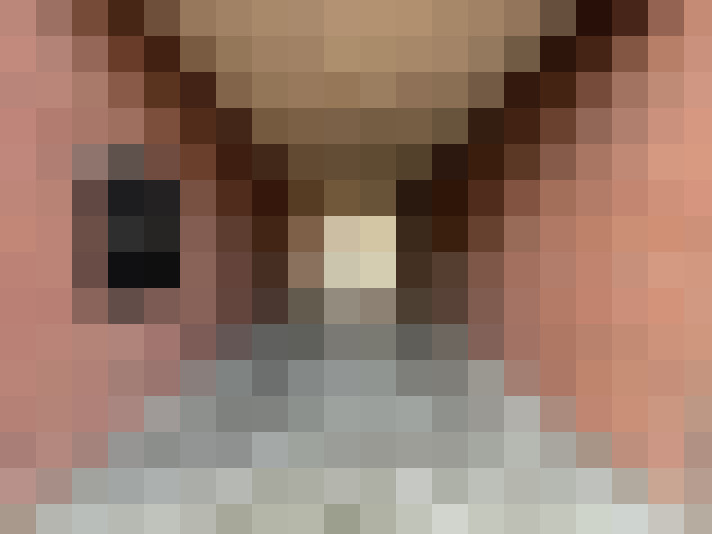  / #17