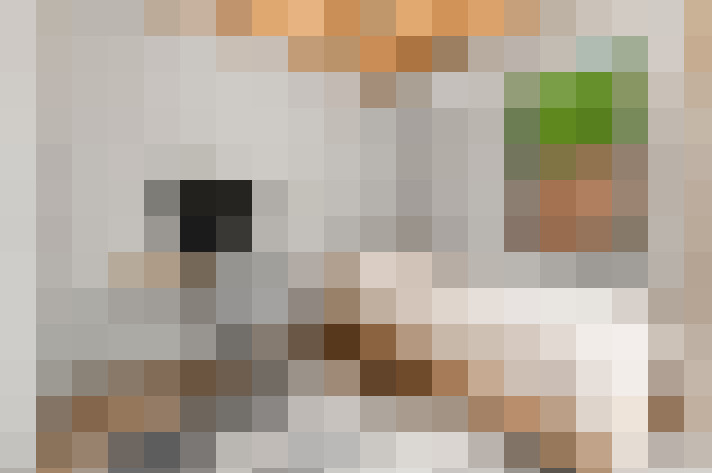  / #15