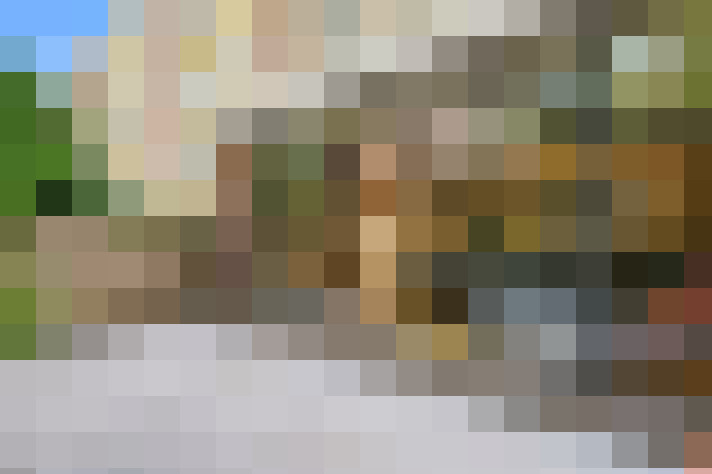  / #16