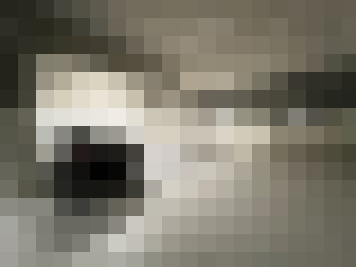  / #12