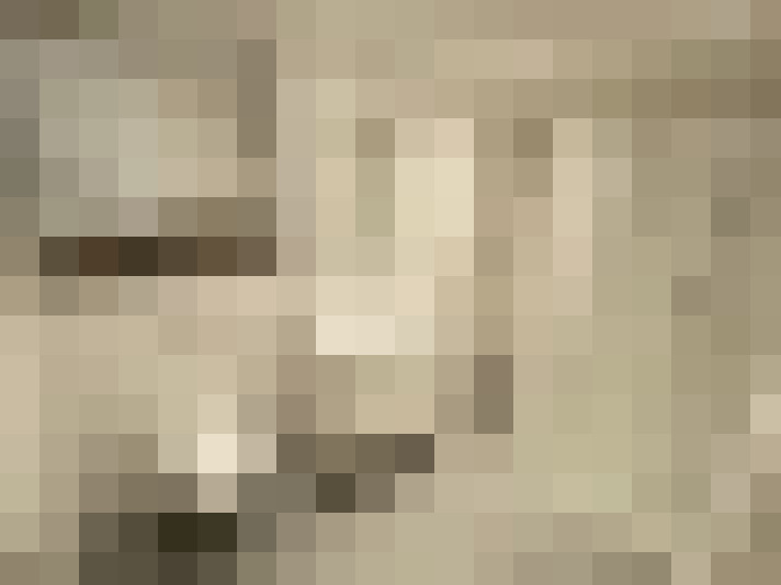  / #11