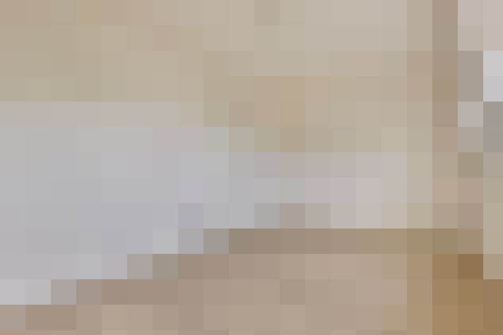  / #29