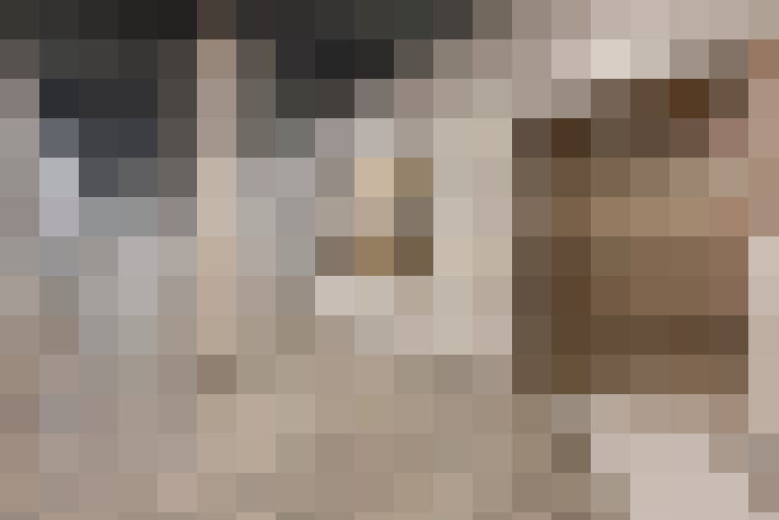  / #17