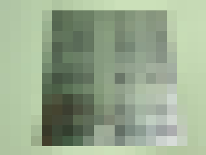  / #11