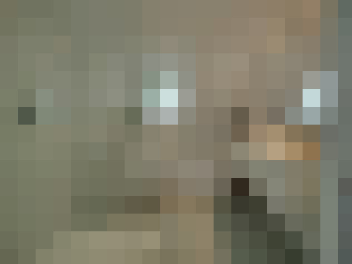  / #19