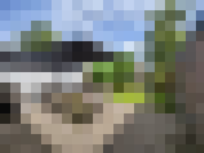  / #12