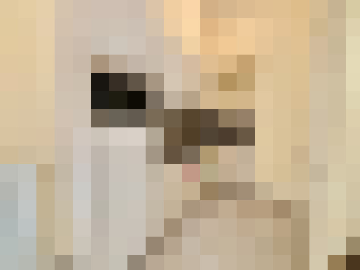  / #6