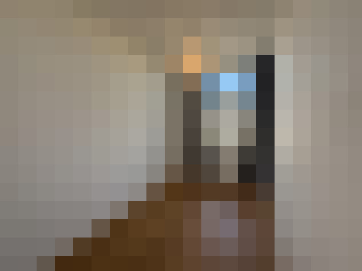  / #19
