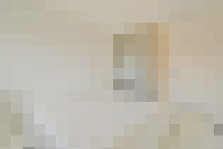  / #22