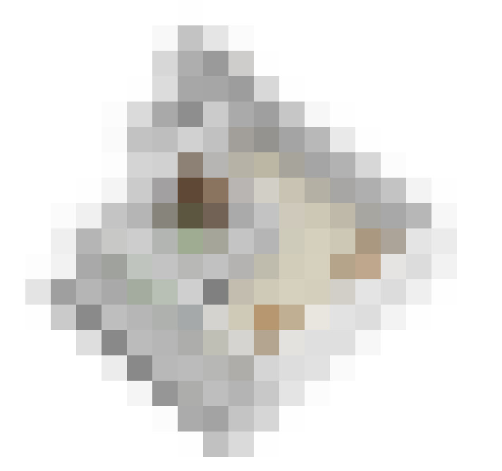  / #15