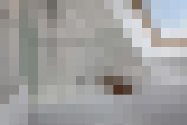  / #16
