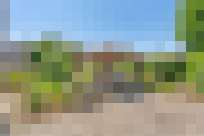  / #15