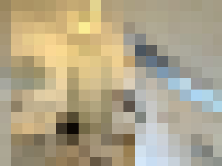  / #14