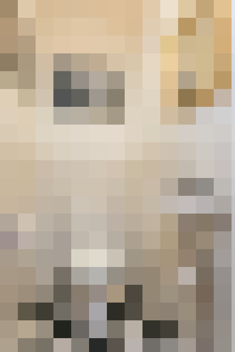  / #17