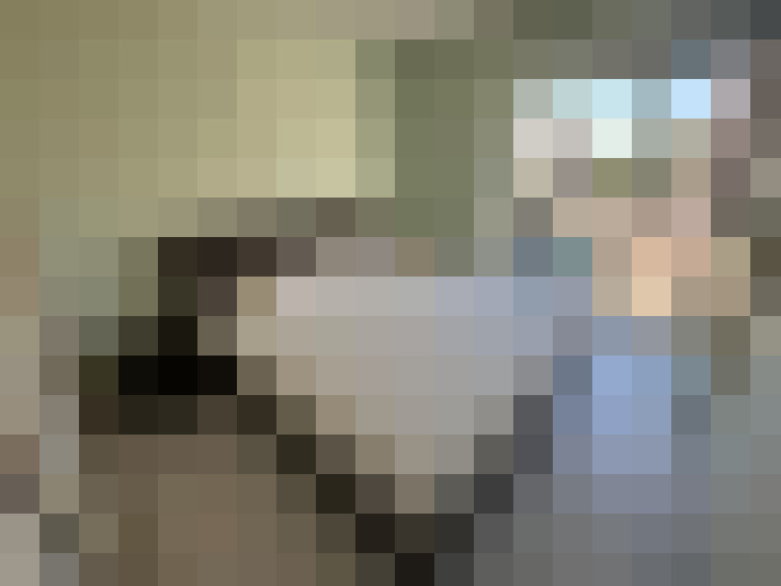  / #17