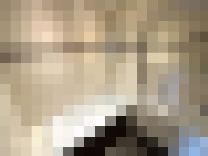  / #12