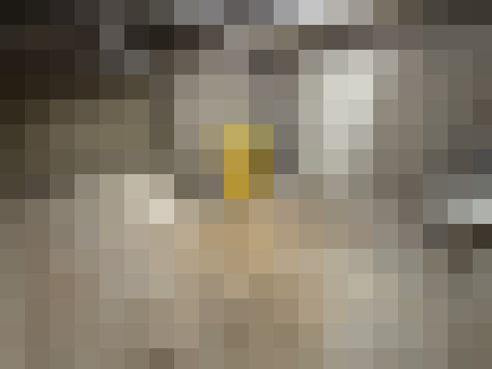  / #19