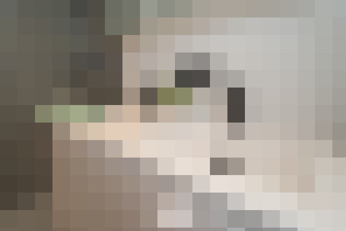  / #19