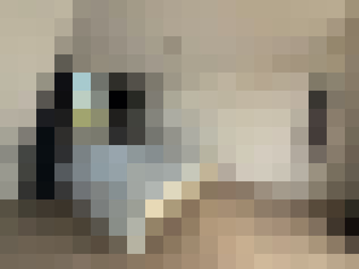  / #15