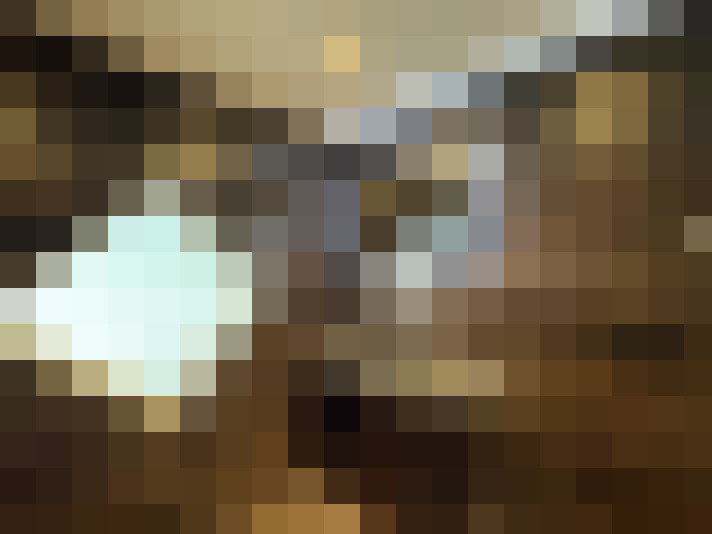  / #18